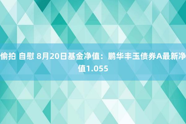 偷拍 自慰 8月20日基金净值：鹏华丰玉债券A最新净值1.055
