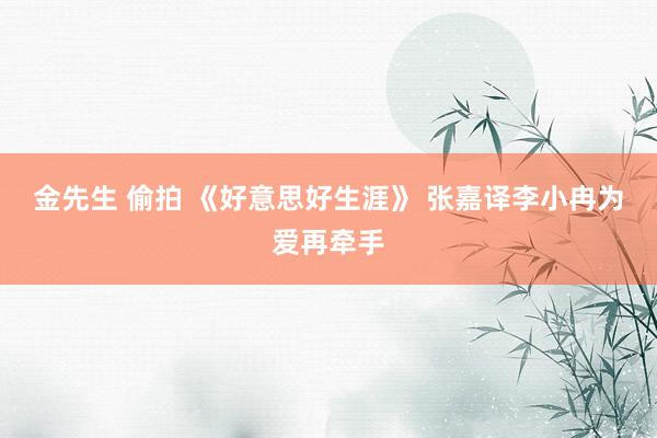 金先生 偷拍 《好意思好生涯》 张嘉译李小冉为爱再牵手