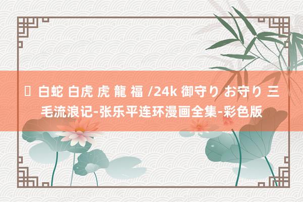 ✨白蛇 白虎 虎 龍 福 /24k 御守り お守り 三毛流浪记-张乐平连环漫画全集-彩色版