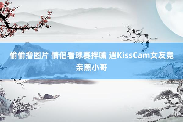 偷偷撸图片 情侣看球赛拌嘴 遇KissCam女友竟亲黑小哥