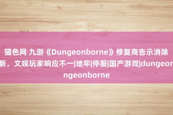 猫色网 九游《Dungeonborne》修复商告示消除后续更新，文娱玩家响应不一|地牢|停服|国产游戏|dungeonborne