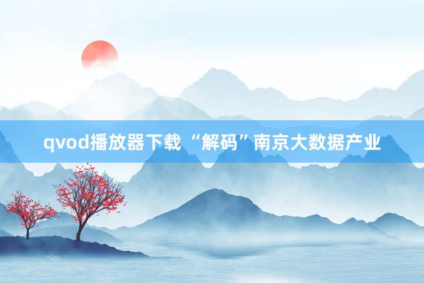 qvod播放器下载 “解码”南京大数据产业