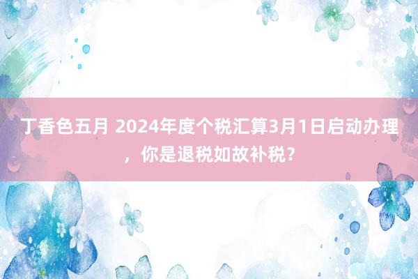 丁香色五月 2024年度个税汇算3月1日启动办理，你是退税如故补税？