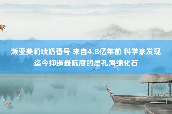 濑亚美莉喷奶番号 来自4.8亿年前 科学家发现迄今抑遏最陈腐的层孔海绵化石