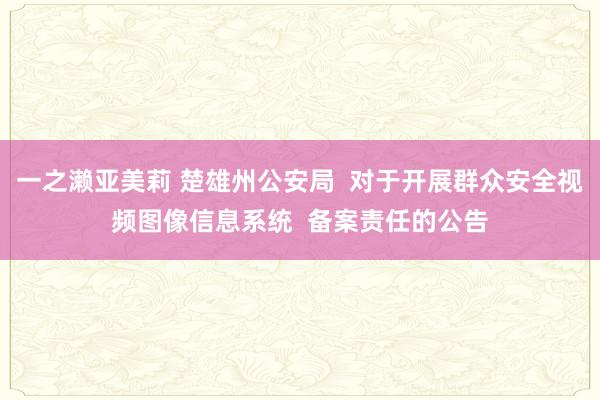 一之濑亚美莉 楚雄州公安局  对于开展群众安全视频图像信息系统  备案责任的公告