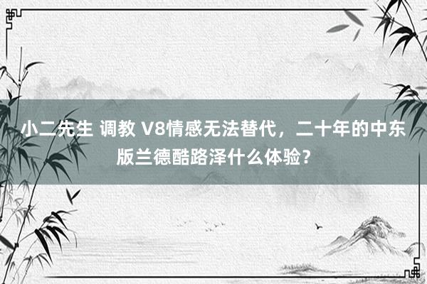小二先生 调教 V8情感无法替代，二十年的中东版兰德酷路泽什么体验？