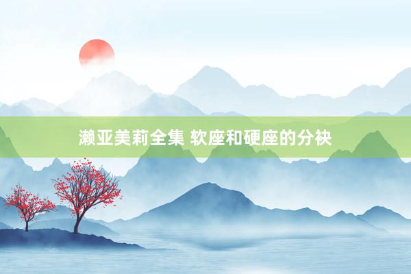 濑亚美莉全集 软座和硬座的分袂
