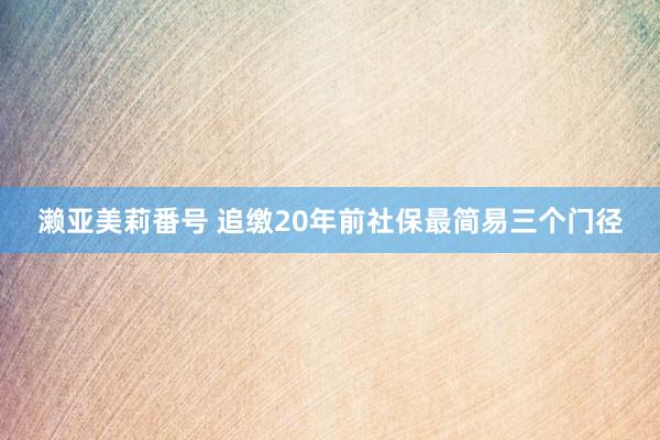 濑亚美莉番号 追缴20年前社保最简易三个门径