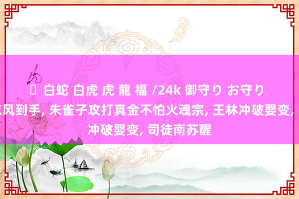 ✨白蛇 白虎 虎 龍 福 /24k 御守り お守り 王林初战乾风到手， 朱雀子攻打真金不怕火魂宗， 王林冲破婴变， 司徒南苏醒