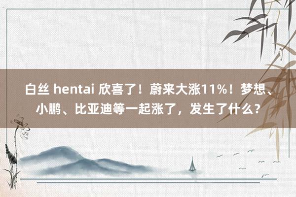 白丝 hentai 欣喜了！蔚来大涨11%！梦想、小鹏、比亚迪等一起涨了，发生了什么？